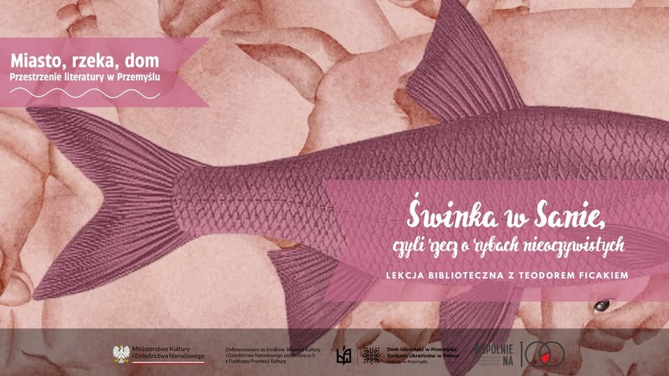 Свинка в Сяні, або розповідь про неочевидних риб